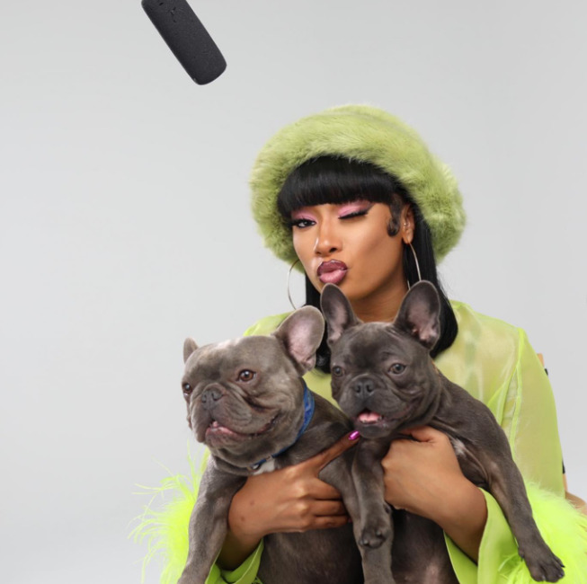 an imge of Megan Thee Stallion with her Dogs