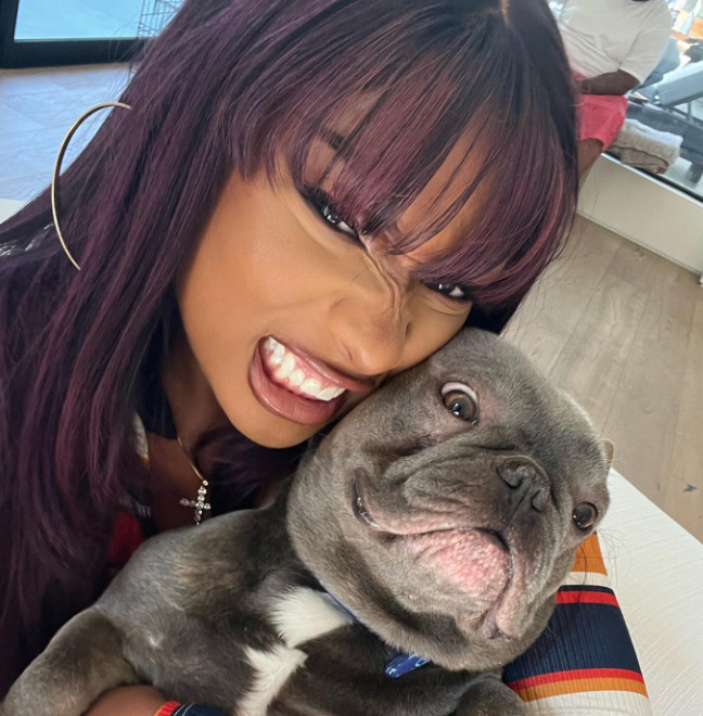 an imge of Megan Thee Stallion with her Dog