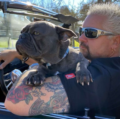 Image of Guy Fieri with his dog 