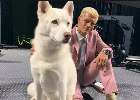 in image of Cody Chodes with his dog