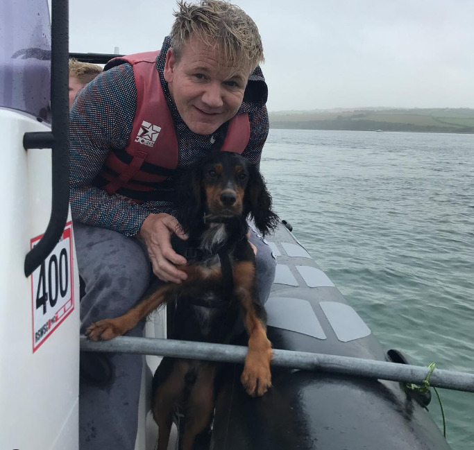 An image of Gordon Ramsay and his dog