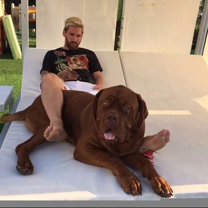 An iamge of Messi and Dog