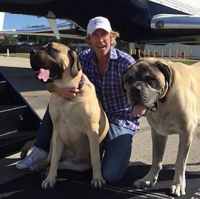 An image of Michael Bay with Dogs