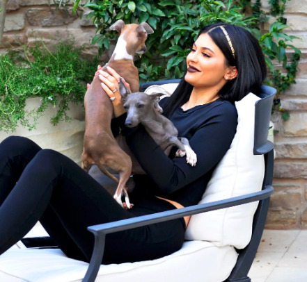 An image of kylie jenner with her dogs