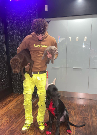 An image of LaMelo Ball with his Dogs