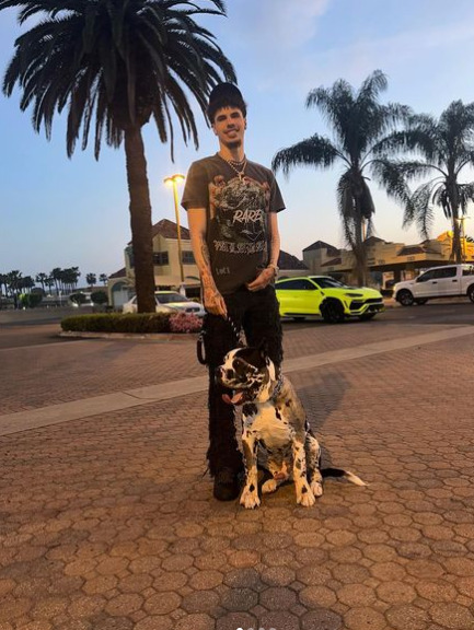 An image of LaMelo Ball with his Dog