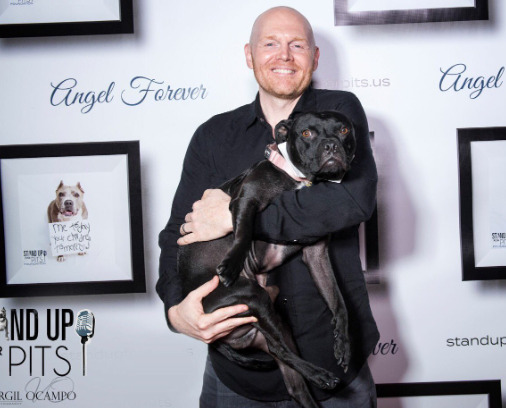 An image Bill Burr with his Pitbull