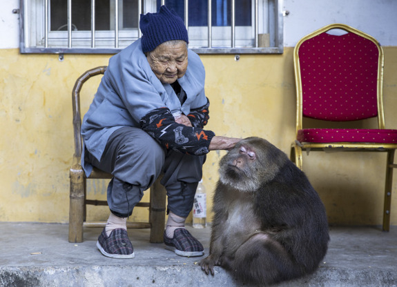 An image of Xingxing Monastery Monkey