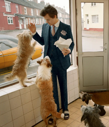 An image of Harry Styles with his Pets