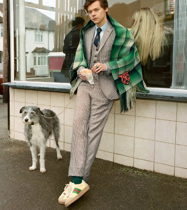 An image of Harry Styles with his dog Pet
