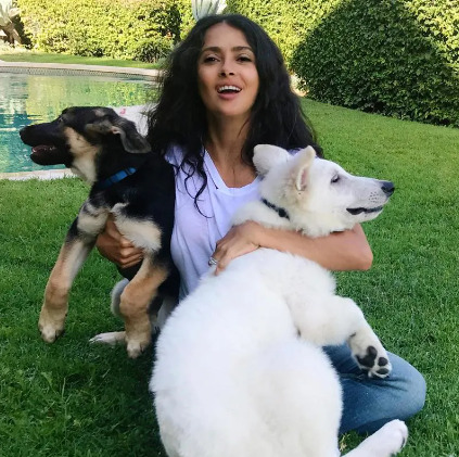 An image of Salma Hayek and her Pet dogs