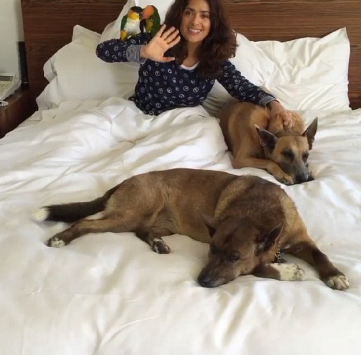 An image of Salma Hayek  and her Pet dogs