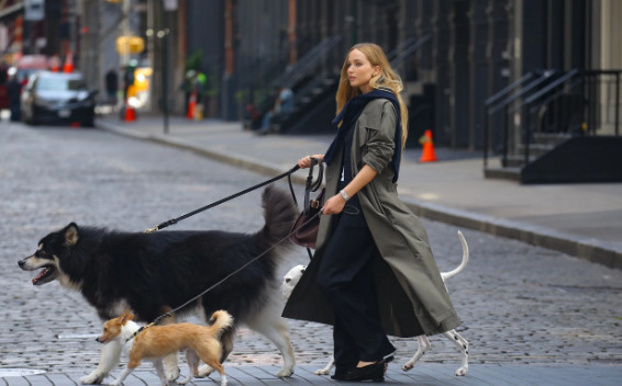 An image of Jennifer Lawrence  with her Dogs