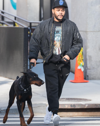 An image of The weeknd with his Dog