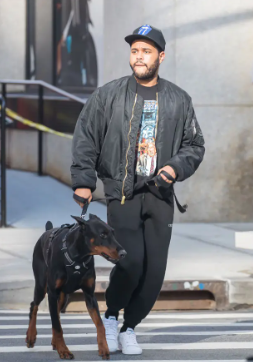 An image of The weeknd with his Dog