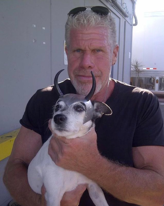 Animage of Ron Perlman with his pet