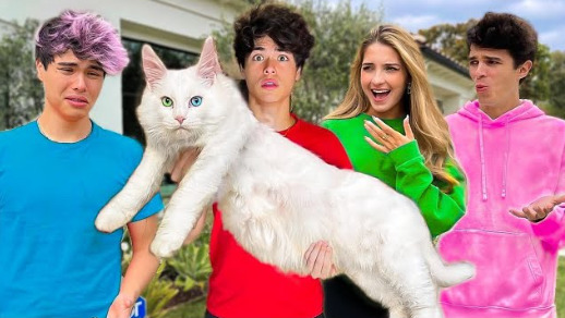 An image of Stokes Twins with their  Cat
