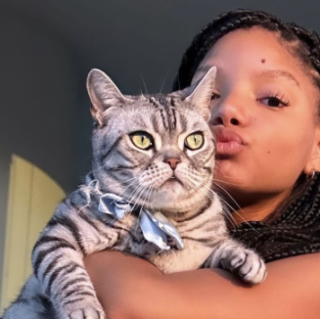 An image of Halle Bailey with her Cat Poseidon