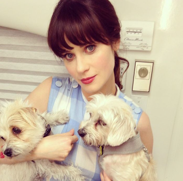 An image of Zoey Deschanel with her rescued Dogs